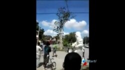Joven guantanamero realiza protesta subido a un árbol