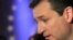 Ted Cruz en campaña electoral
