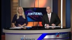 Antena Live