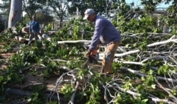 En plena recogida de ramas y árboles caídos (Foto: Agencia Cubana de Noticias, ACN).