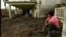 Entre escombros e inundaciones puertorriqueños intentan reconstruir su isla