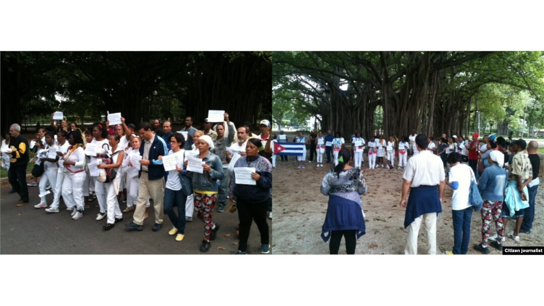 Reporta Cuba. Integrantes del ForoDyL participan en #TodosMarchamos (31/01/2016). Foto: Ángel Moya.