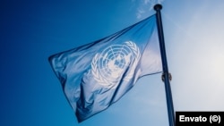 Bandera de las Naciones Unidas. 