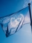 Bandera de las Naciones Unidas. 
