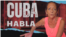 Banner 521