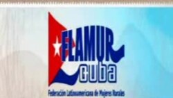 Actividad Cívica en Centro Habana "Con la Misma Moneda"