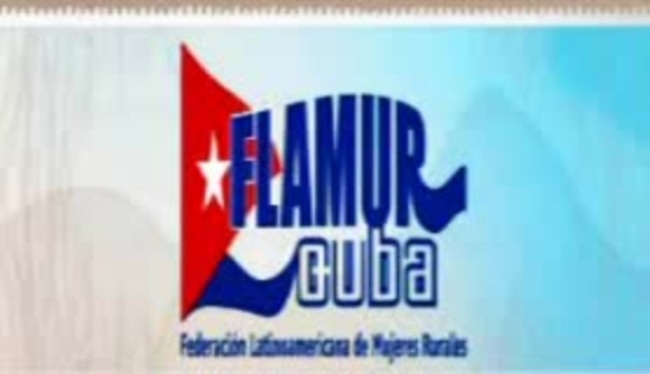 Actividad Cívica en Centro Habana "Con la Misma Moneda"