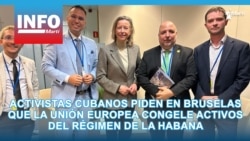 Activistas cubanos piden en Bruselas que la Unión Europea congele activos del régimen de La Habana 