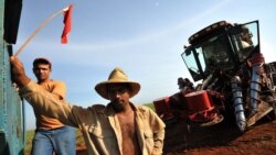 Sindicalismo independiente en Cuba, actualización