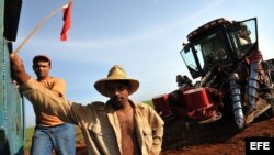 Obreros cañeros en Calimete, provincia de Matanzas (Cuba)