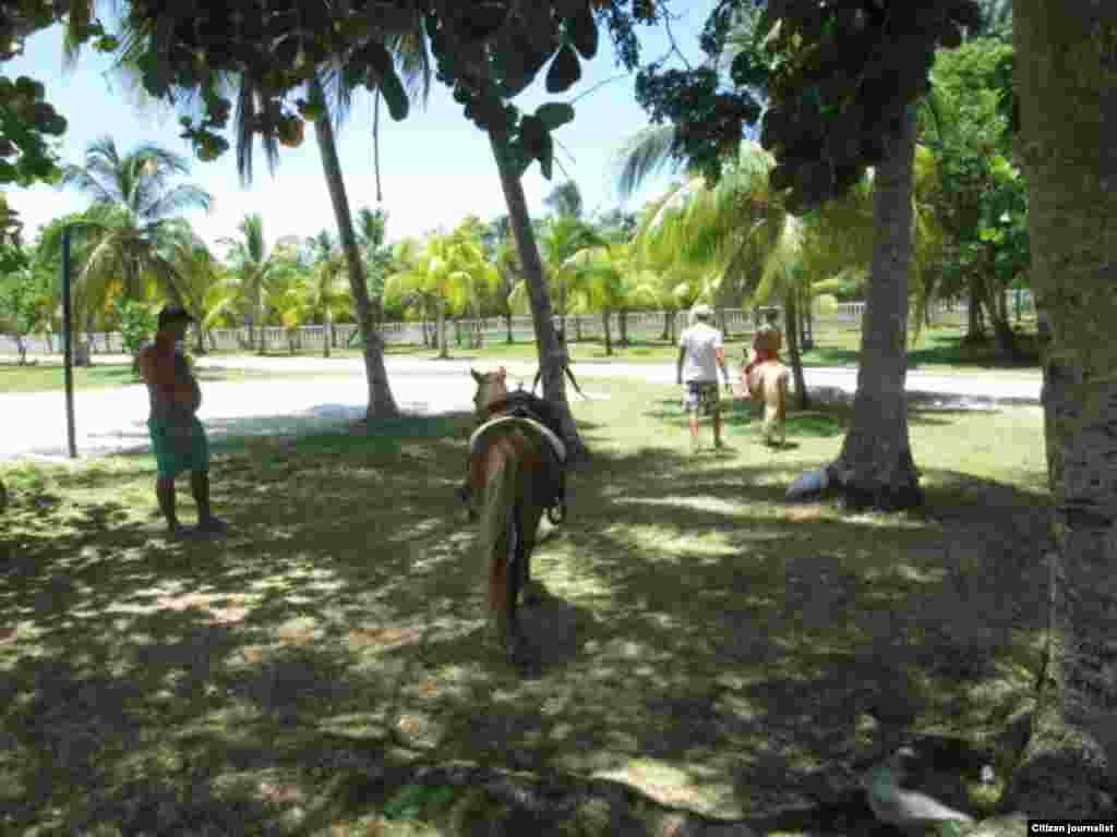 Reporta Cuba playa de Caibarién foto cristianosxcuba