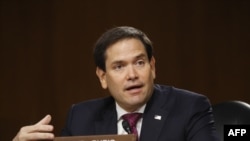 Marco Rubio, senador republicano de origen cubano. (Andrew Harnik / AFP).