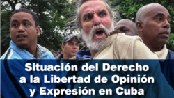 Presentan en la ONU informe sobre del Derecho a la Libertad de Opinión y Expresión en Cuba