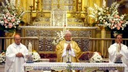 Hoy con Elias Amor, Alain Toledano, Ramón Zamora, Sorania Cruz y Alberto Méndez Castelló 