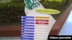 Las ofertas para este verano