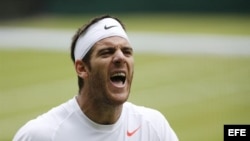 El tenista argentino Juan Martín del Potro celebra su victoria en cuartos de final de Wimbledon.