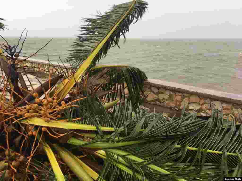 Imágenes de Caibarién tras el paso de Irma /Cortesía de H Vela - WPLG-TV