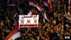 Panorámica de la protesta de opositores del presidente Morsi que piden que el mandatario renuncie a su cargo. 