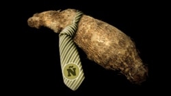 "Ñame con corbata"