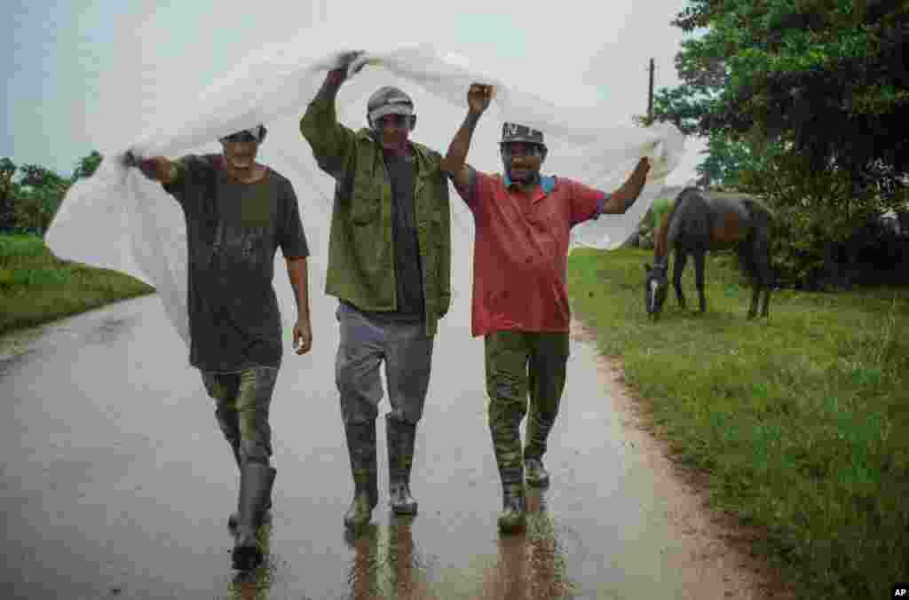 Campesinos en Batabanó se protegen de las lluvias de Helene.