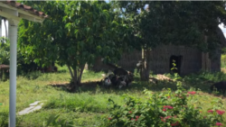 Campesinos enfrentan escasez de todo tipo