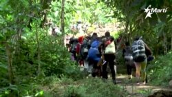 Info Martí | Colombia y Panamá permitirán el paso por su frontera, de miles de migrantes irregulares