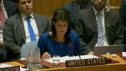 Ante la ONU, EEUU justifica acciones en Siria