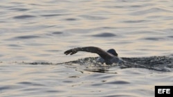 La nadadora británico-australiana Penny Palfrey. 