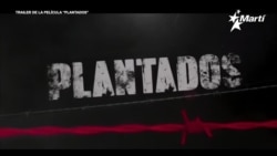 Info Martí | Se estrena en España la película “Plantados”, del director Lilo Vilaplana