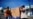 16x9 Image