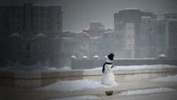 El muñeco de nieve de Gastón Baquero