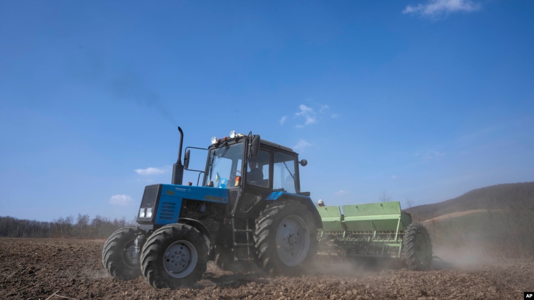 Trabajo agrícola en el oeste de Ucrania, el 26 de marzo de 2022. (AP Photo/Nariman El-Mofty).