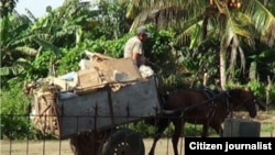 reporta cuba Recogida de Basura en Calixto García foto @LuisLazaroGuanch 