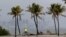 Lluvias intensas en Sur de Florida. (AP Photo/Lynne Sladky)