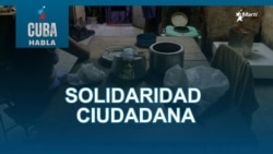 Solidaridad ciudadana