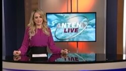 Antena Live