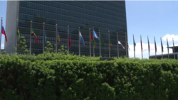 Crece rechazo a que Cuba ocupe lugar en consejo de DDHH de ONU