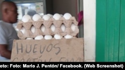 En septiembre de 2026, un cartón de huevos en Cuba alcanzó los 5000 pesos. El salario mínimo mensual del país es de 3210 pesos.