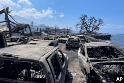 Se pueden ver autos calcinados después del paso de un incendio, el miércoles 9 de agosto de 2023, en Lahaina, Hawai. (Cortesía de Tiffany Kidder Winn para AP)