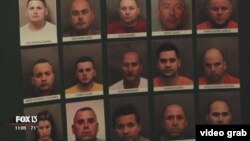 Algunos de los arrestados durante la operación "Hydro Hustlers". (Captura de video/FOX13)