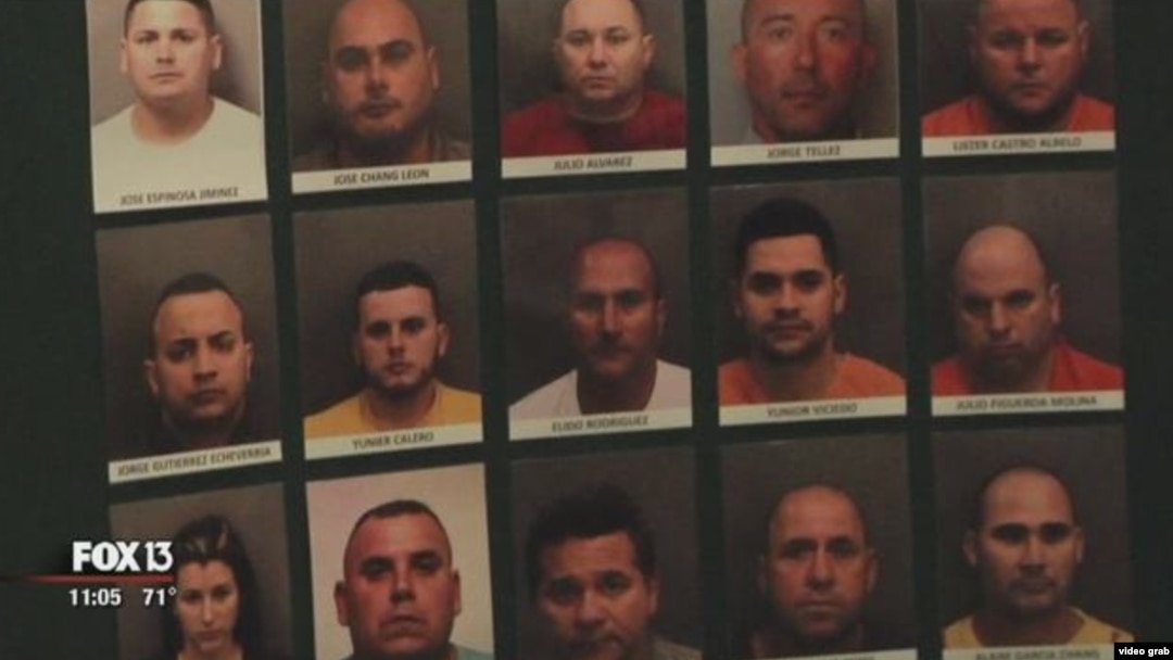 Algunos de los arrestados durante la operación "Hydro Hustlers". (Captura de video/FOX13)