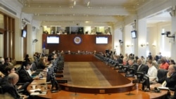 OEA: En Cuba no existe libertad de expresión 