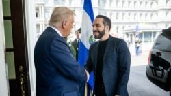 Bukele, un ejemplo que llama a "BUKELIZAR" otras democracias