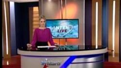 Antena Live