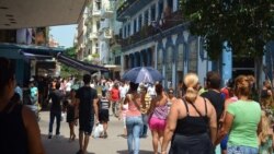 Senadoras estadounidenses visitan Cuba en busca de negocios