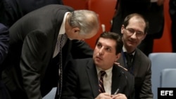 Consejo de Seguridad de la ONU discute situación de Siria