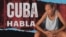 Banner 530
