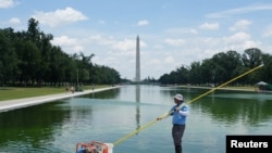 Un trabajador limpia las algas del estanque reflectante del Monumento a Lincoln en Washington D.C., pintado de azul por orden del presidente Trump, con motivo del 250 aniversario de la Independencia de Estados Unidos.