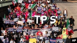 Inmigrantes se manifiestan pidiendo permisos de trabajo para los programas de Acción Diferida para los Llegados en la Infancia (DACA) y Estatus de Protección Temporal (TPS) en noviembre de 2023. (AP Foto/José Luis Magana)
