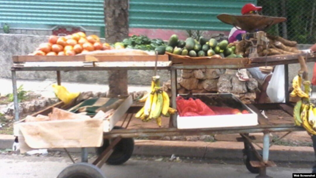  Reporta Cuba / Carretilleros